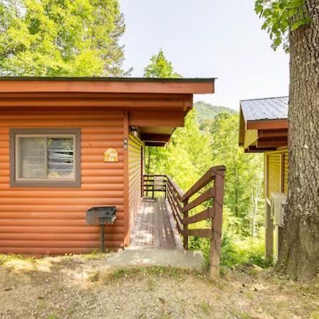Lazy Bear Cabin Near Nantahala Outdoor Center And Bryson City Εξωτερικό φωτογραφία