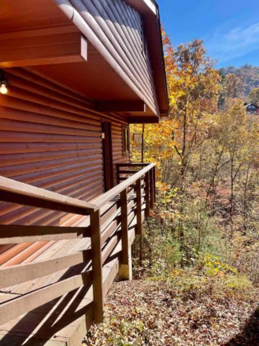 Lazy Bear Cabin Near Nantahala Outdoor Center And Bryson City Εξωτερικό φωτογραφία