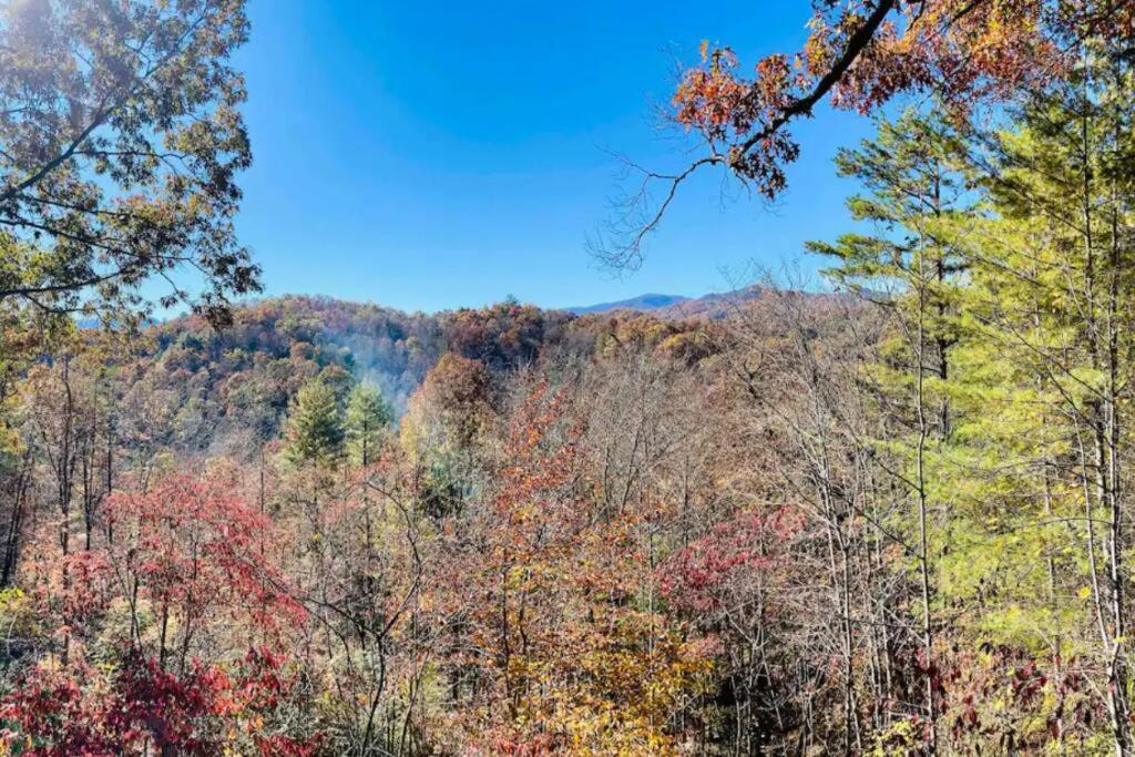 Lazy Bear Cabin Near Nantahala Outdoor Center And Bryson City Εξωτερικό φωτογραφία