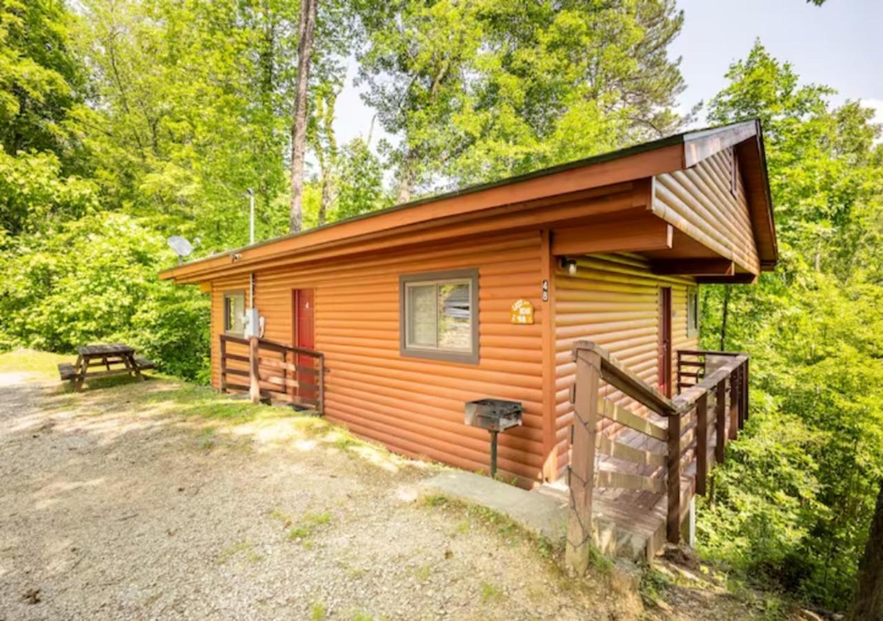 Lazy Bear Cabin Near Nantahala Outdoor Center And Bryson City Εξωτερικό φωτογραφία