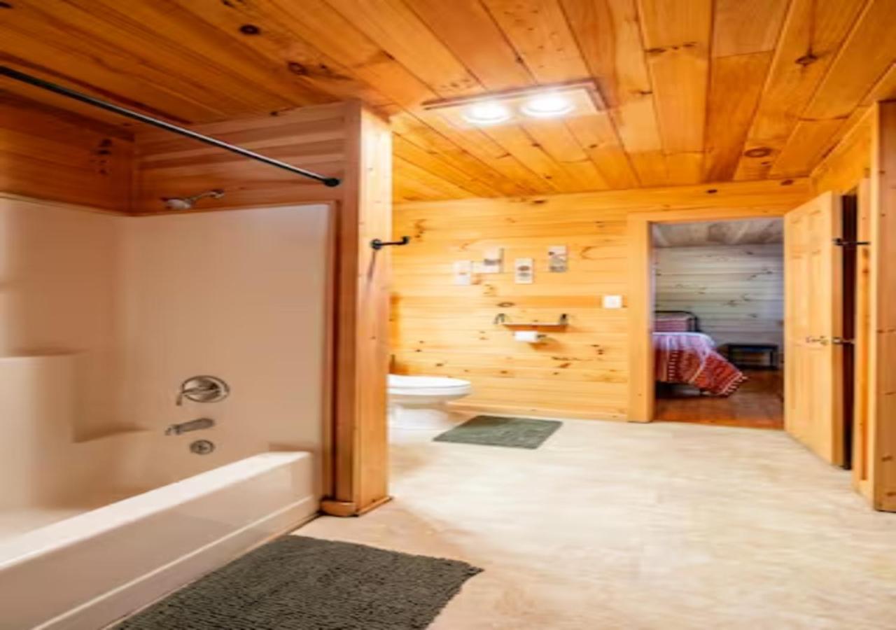 Lazy Bear Cabin Near Nantahala Outdoor Center And Bryson City Εξωτερικό φωτογραφία
